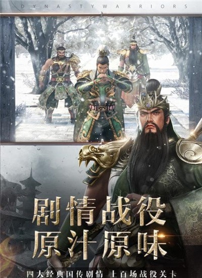 真三国无双霸截图3