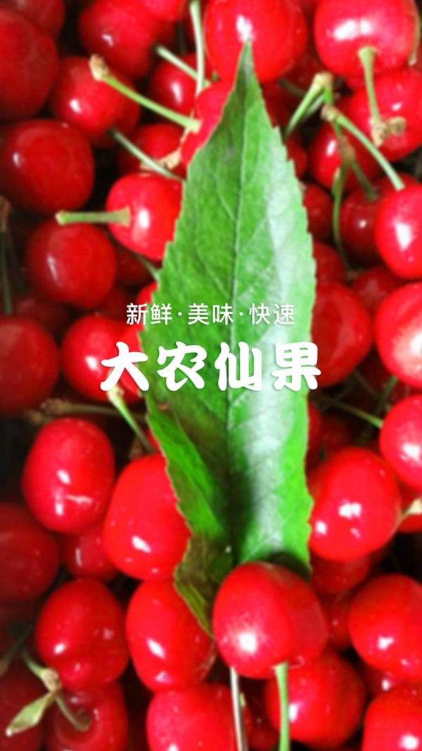 大农仙果截图1