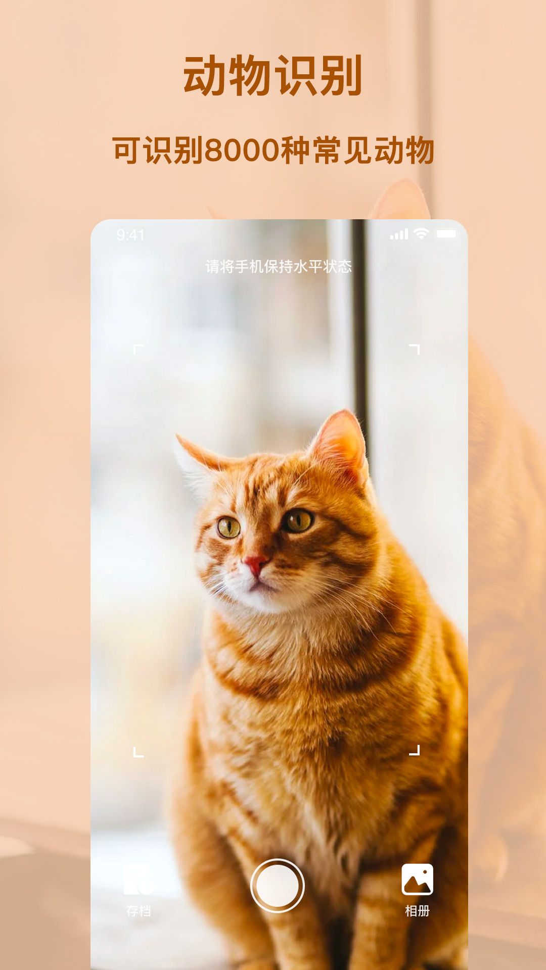 行色识物截图3