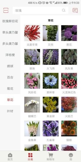 枝蔓花坊截图3