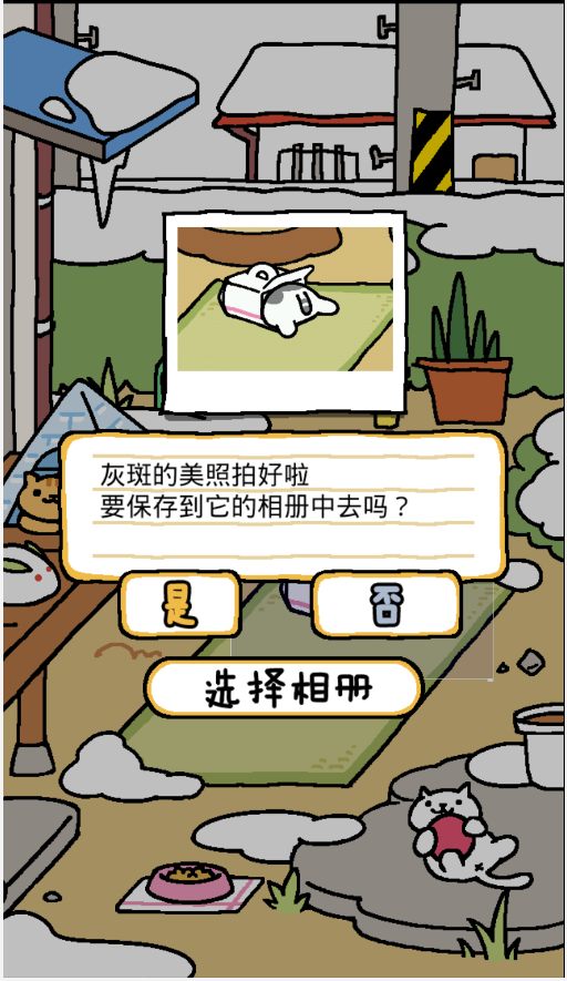 后街猫截图1