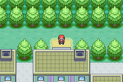 口袋妖怪火红八岛怎么去