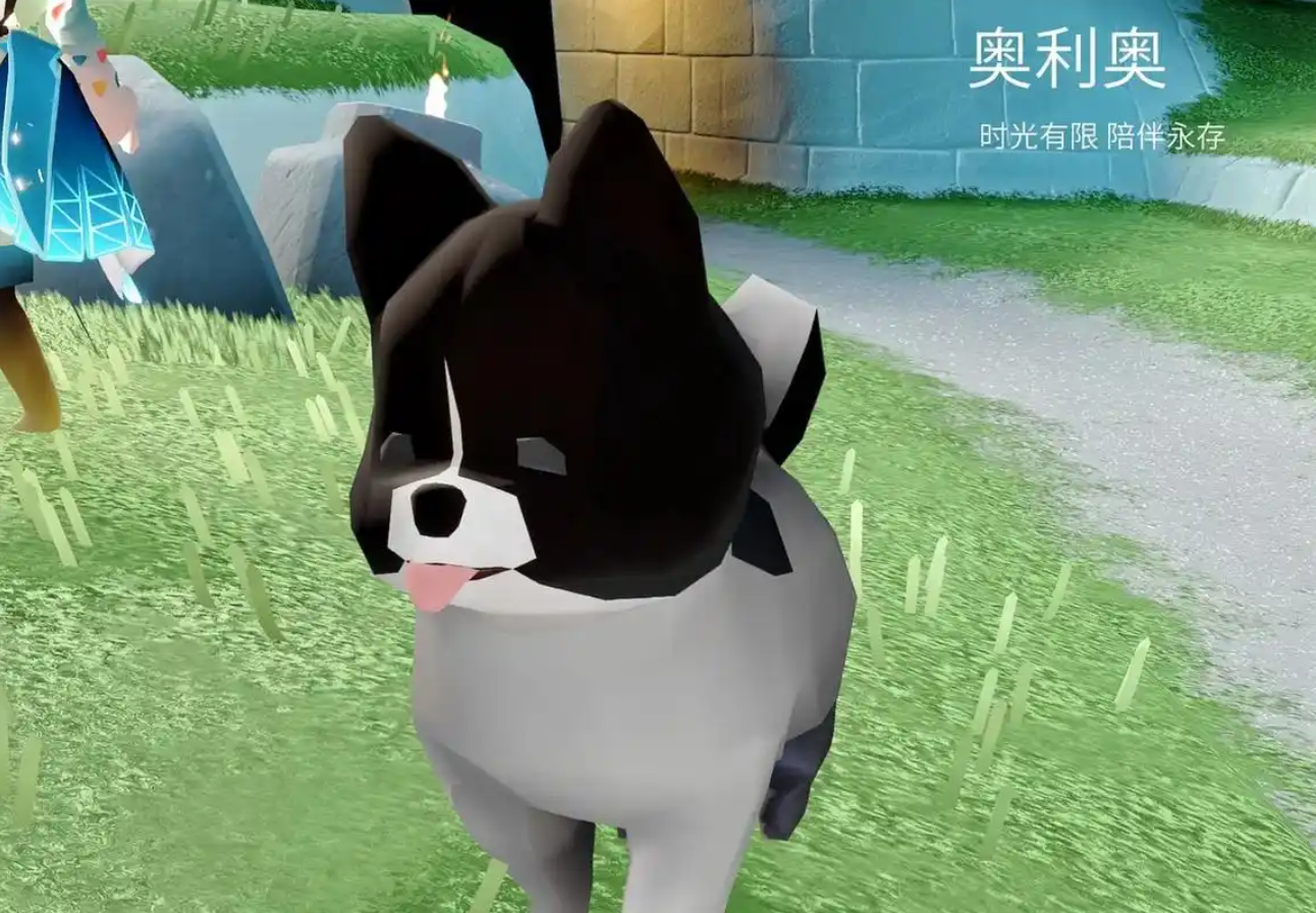 光遇原野的狗有什么用