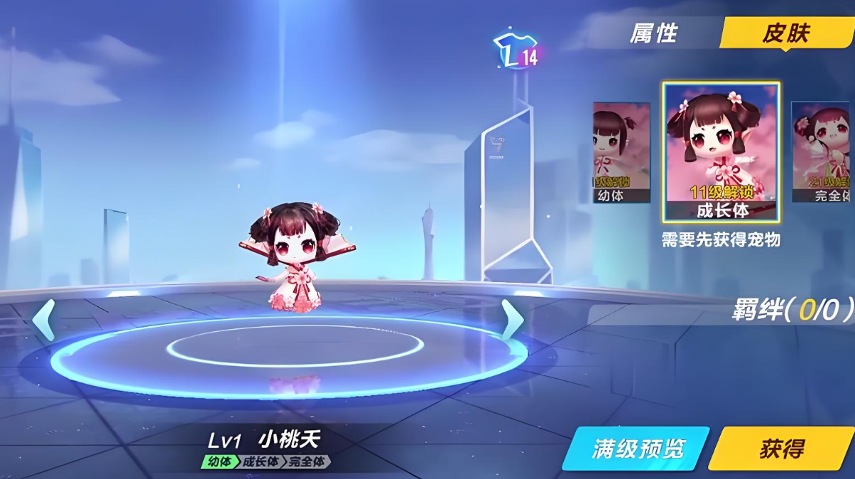 qq飞车手游勋章宠物哪个好用