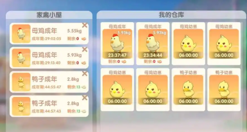 摩尔庄园买了鸡怎么放出来