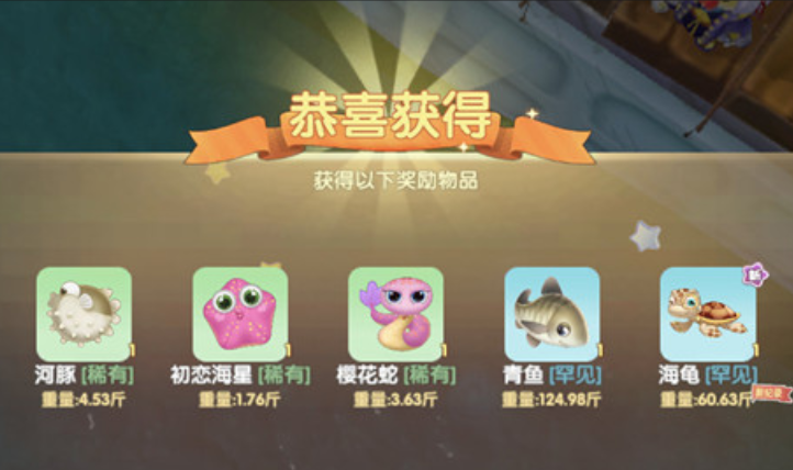 摩尔庄园怎么钓海龟