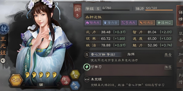 三国志战略版王元姬什么级别队伍