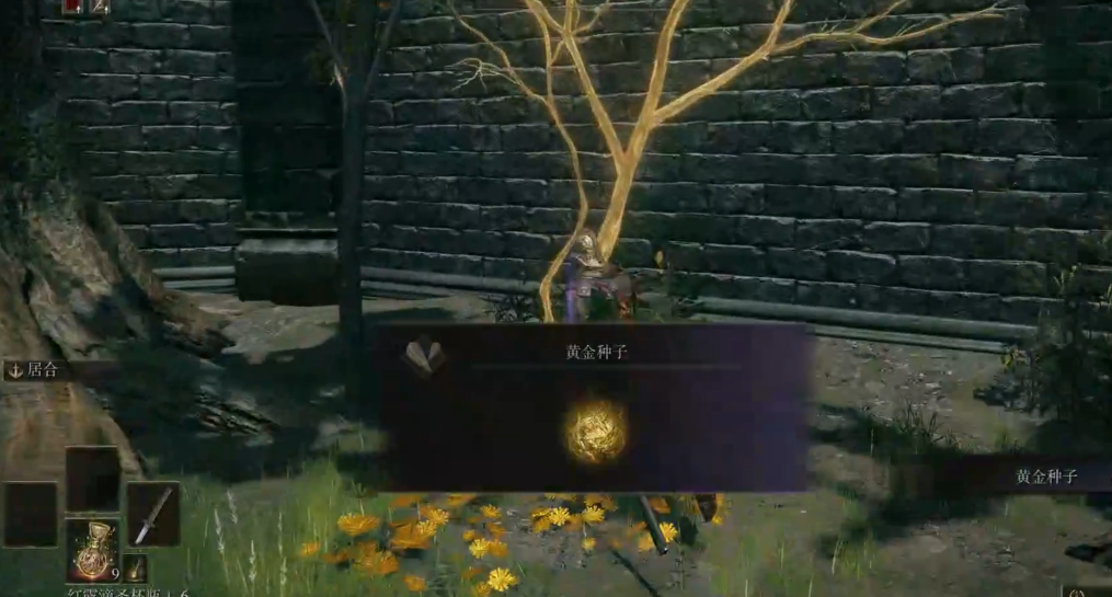 艾尔登法环饰品推荐什么