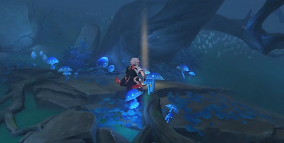 原神鹤冠迷雾怎么解开