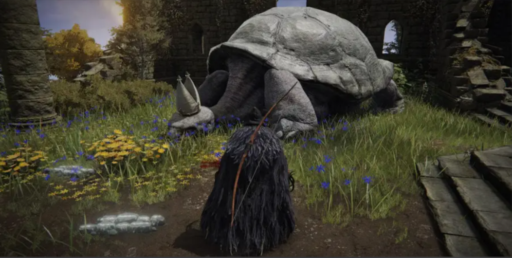 艾尔登法环多少个记忆石