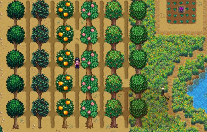 星露谷物语树种哪里好