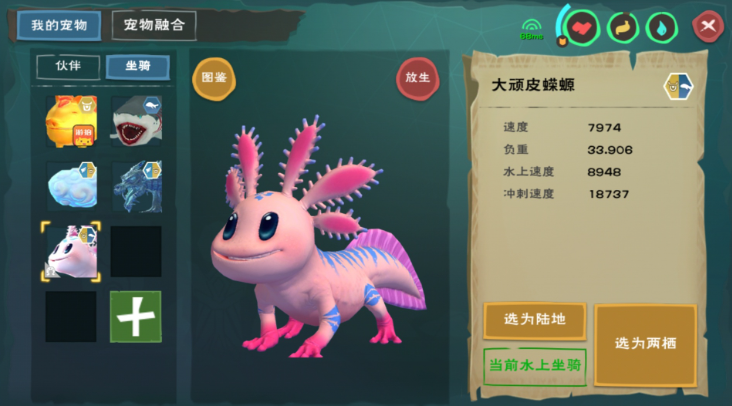 创造与魔法捕捉蝾螈需要什么